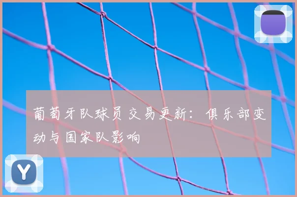 葡萄牙队球员交易更新：俱乐部变动与国家队影响